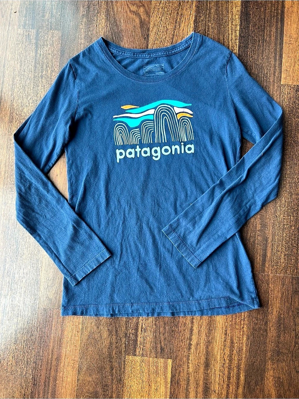 Patagonia Long Sleeve Graphic Tee in Blue